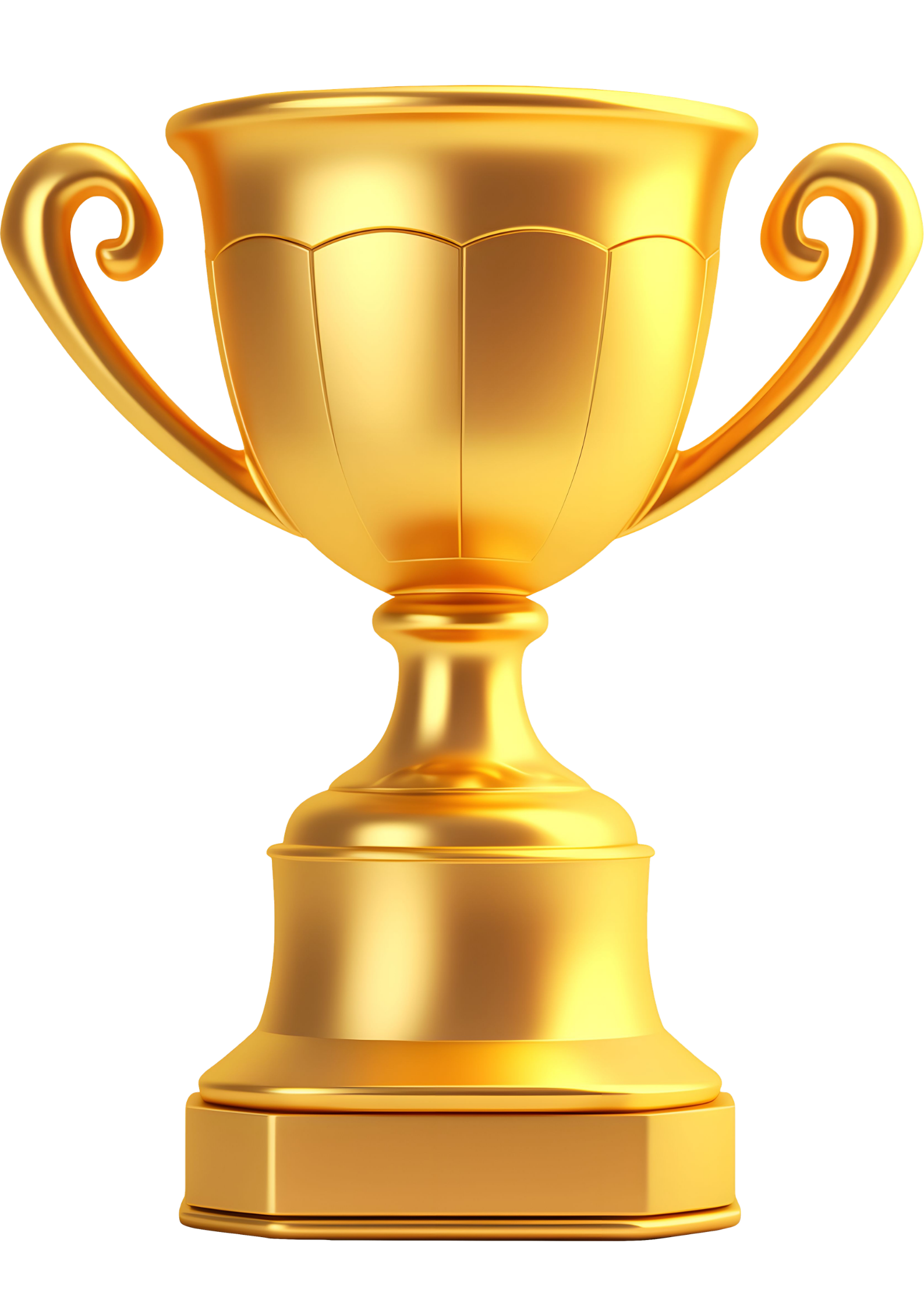 District Governor's Award